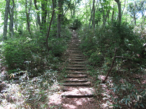 20140517hike (116)